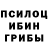 Псилоцибиновые грибы Magic Shrooms boogey man
